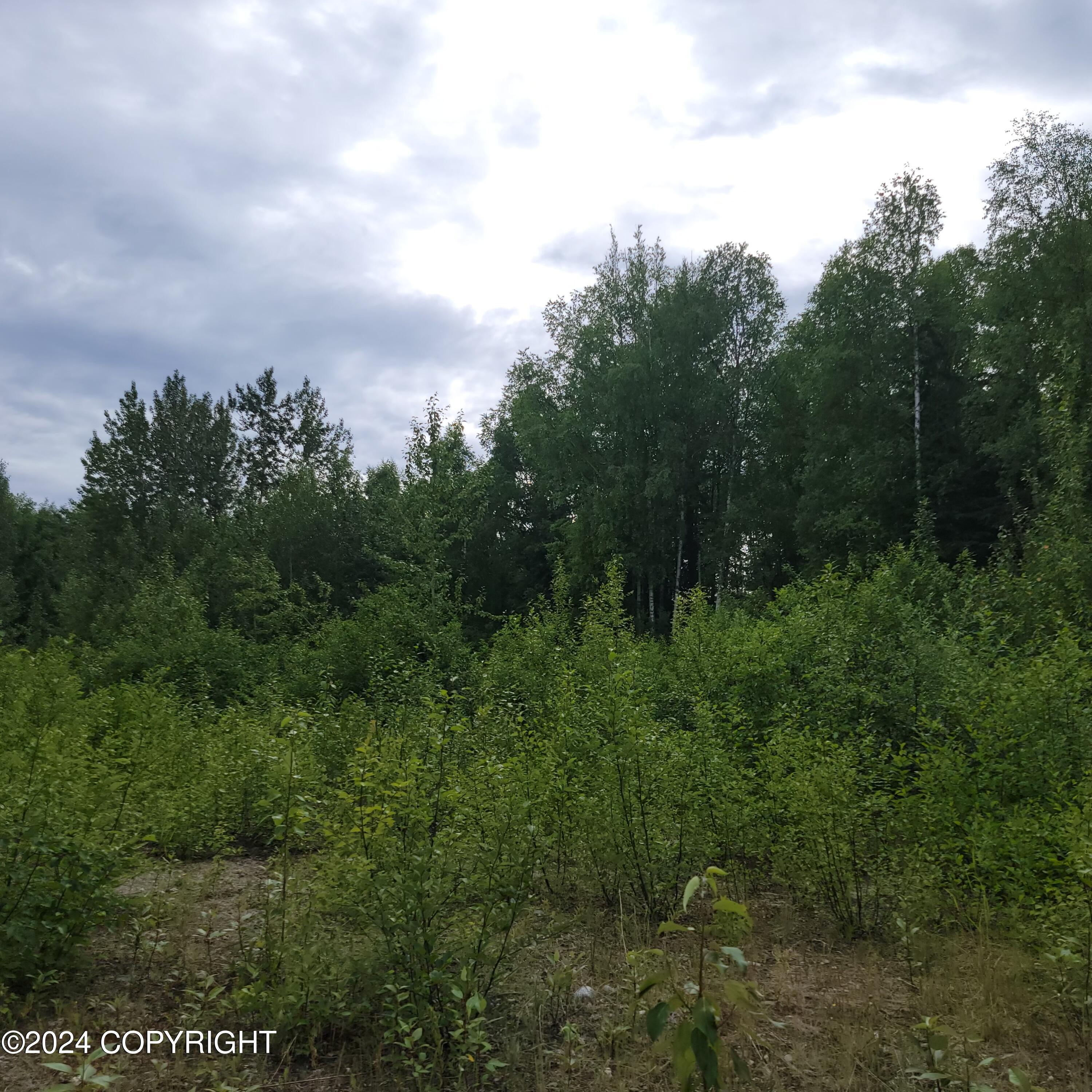 27048 W Parks Highway, Willow, Alaska image 1