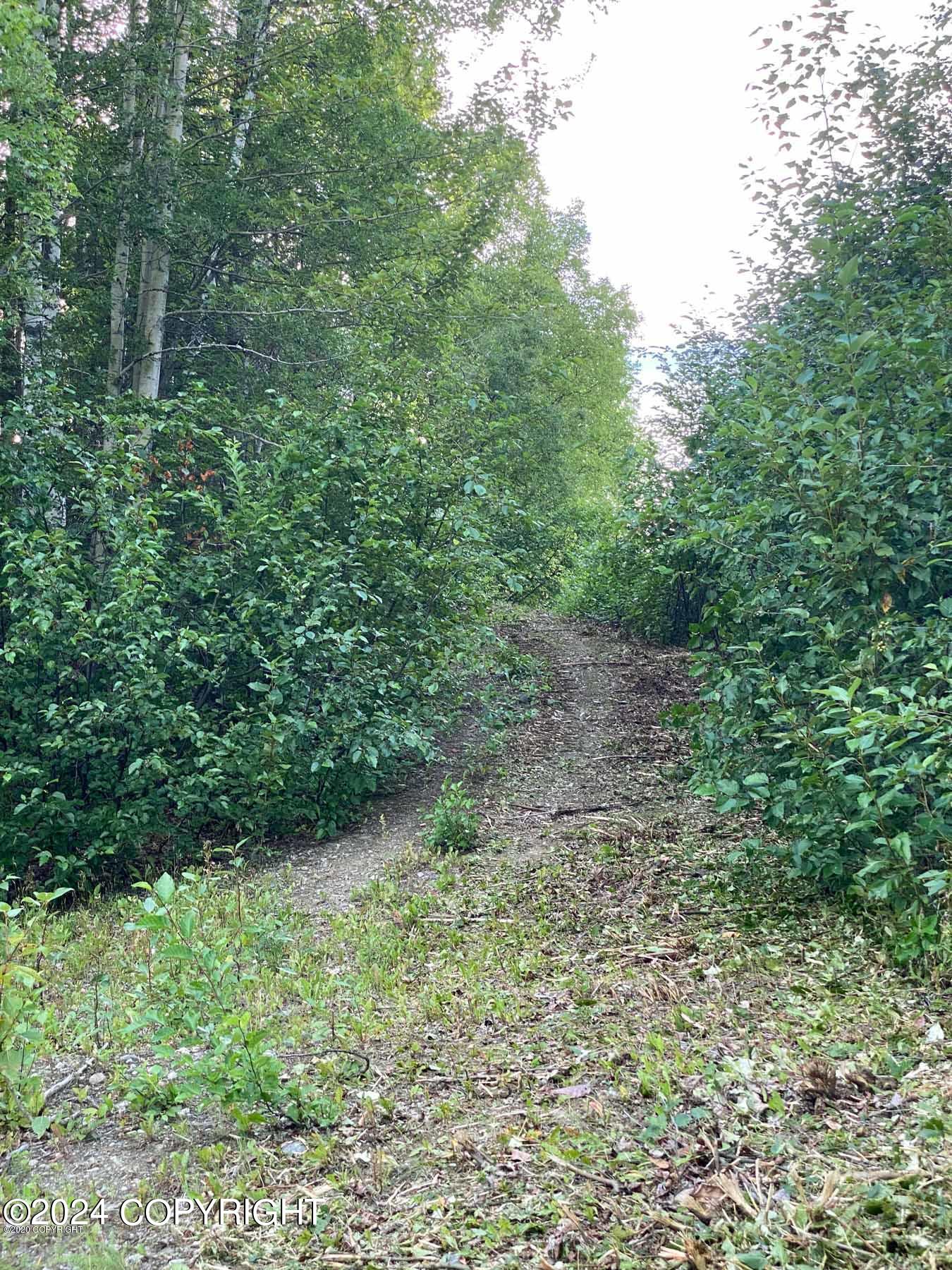 27048 W Parks Highway, Willow, Alaska image 6