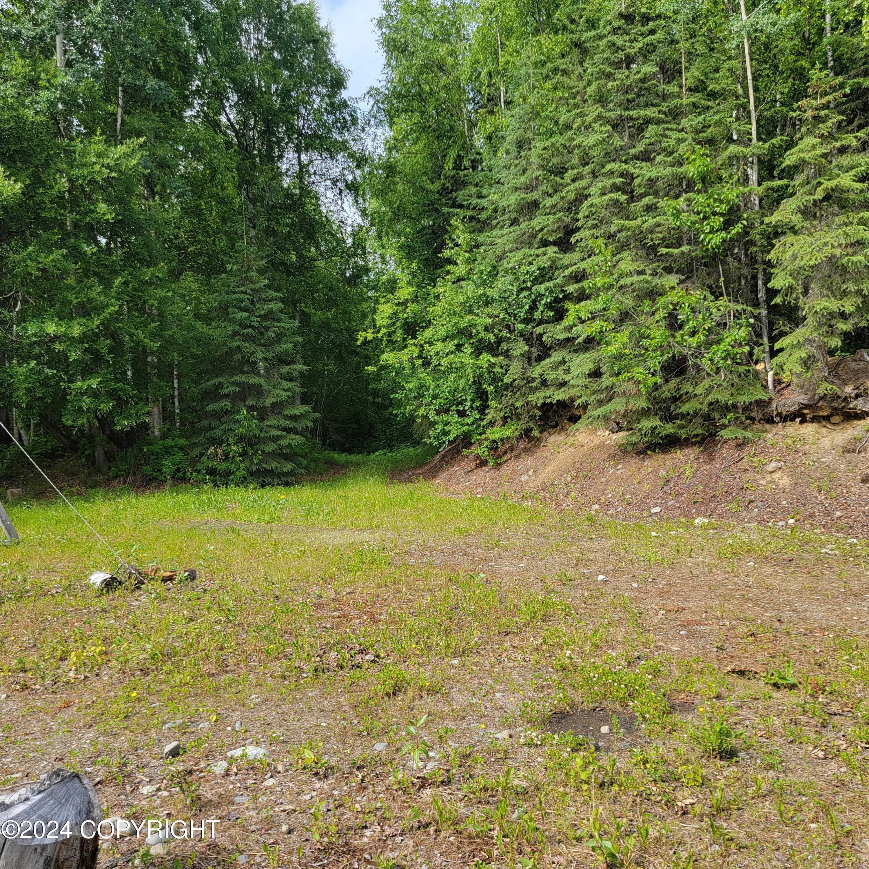 27048 W Parks Highway, Willow, Alaska image 2