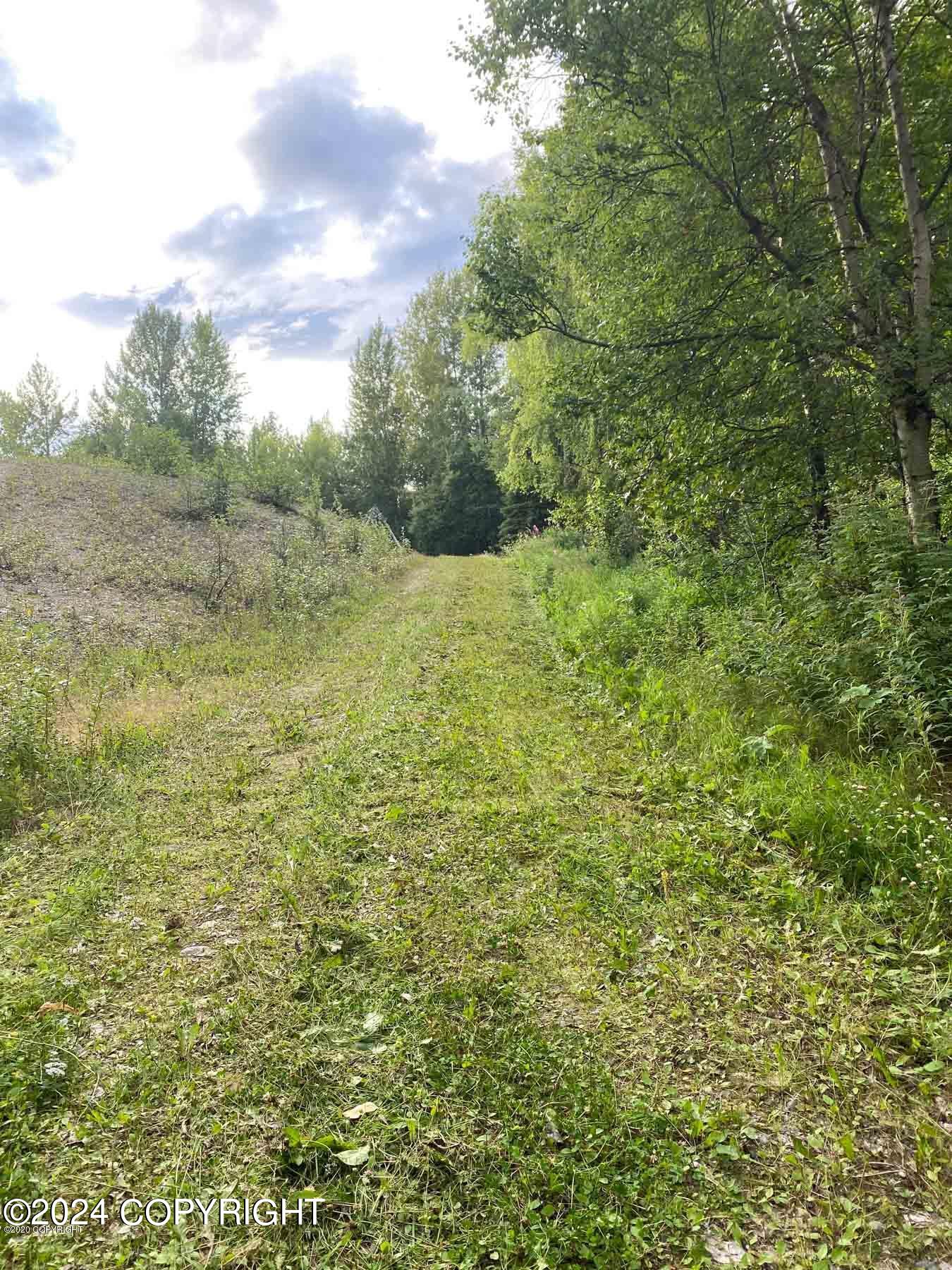 27048 W Parks Highway, Willow, Alaska image 12
