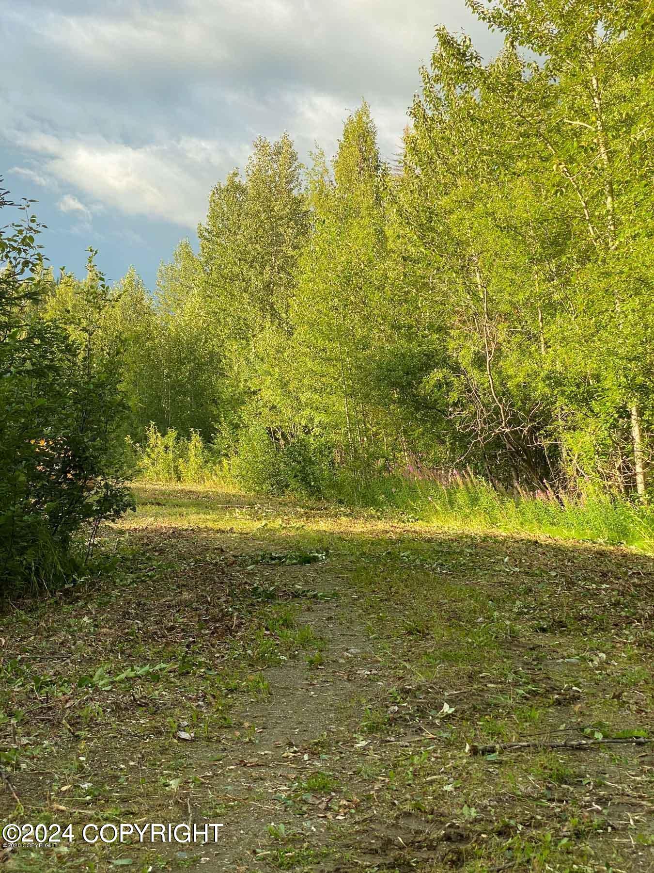 27048 W Parks Highway, Willow, Alaska image 9