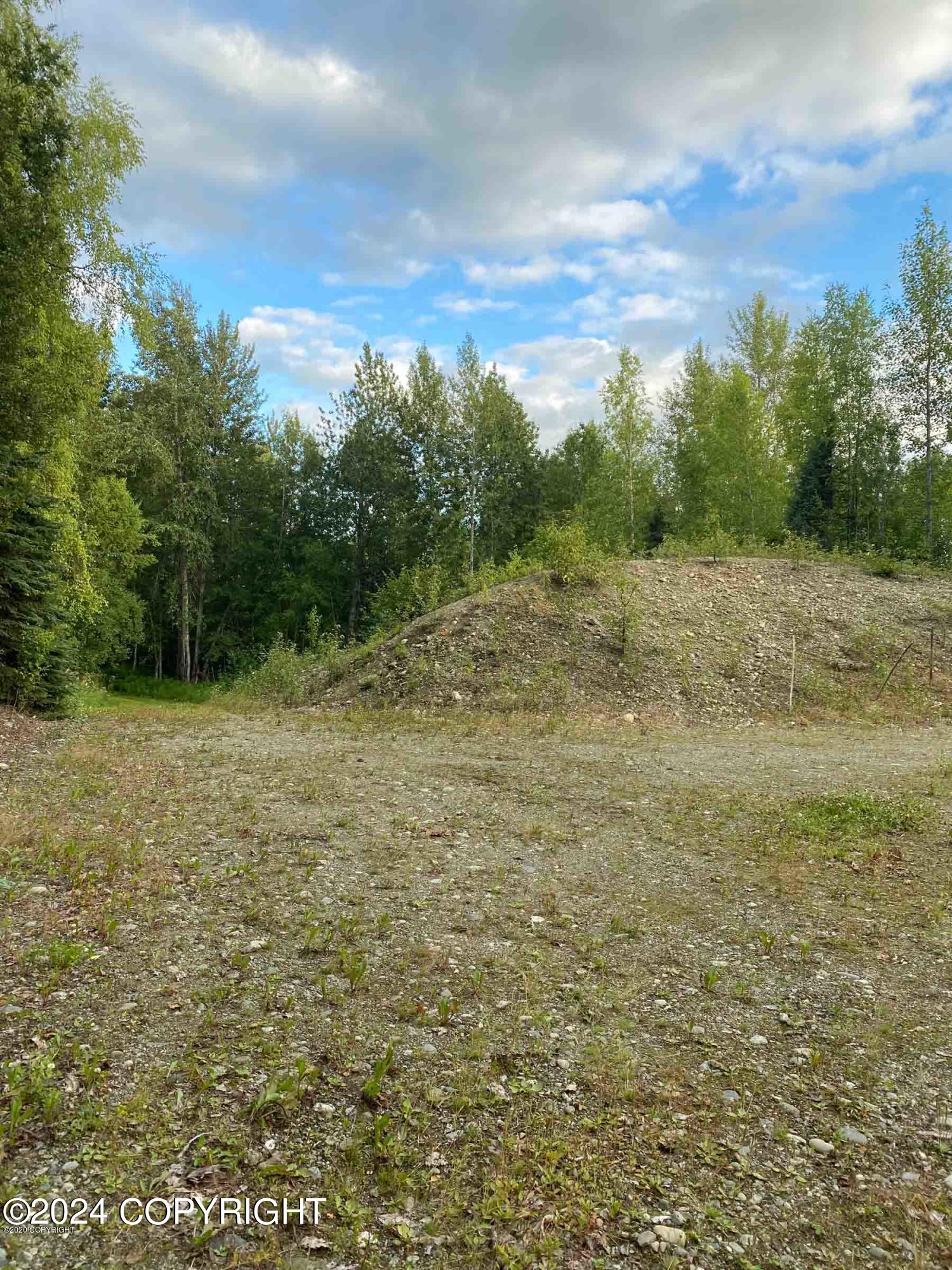 27048 W Parks Highway, Willow, Alaska image 15