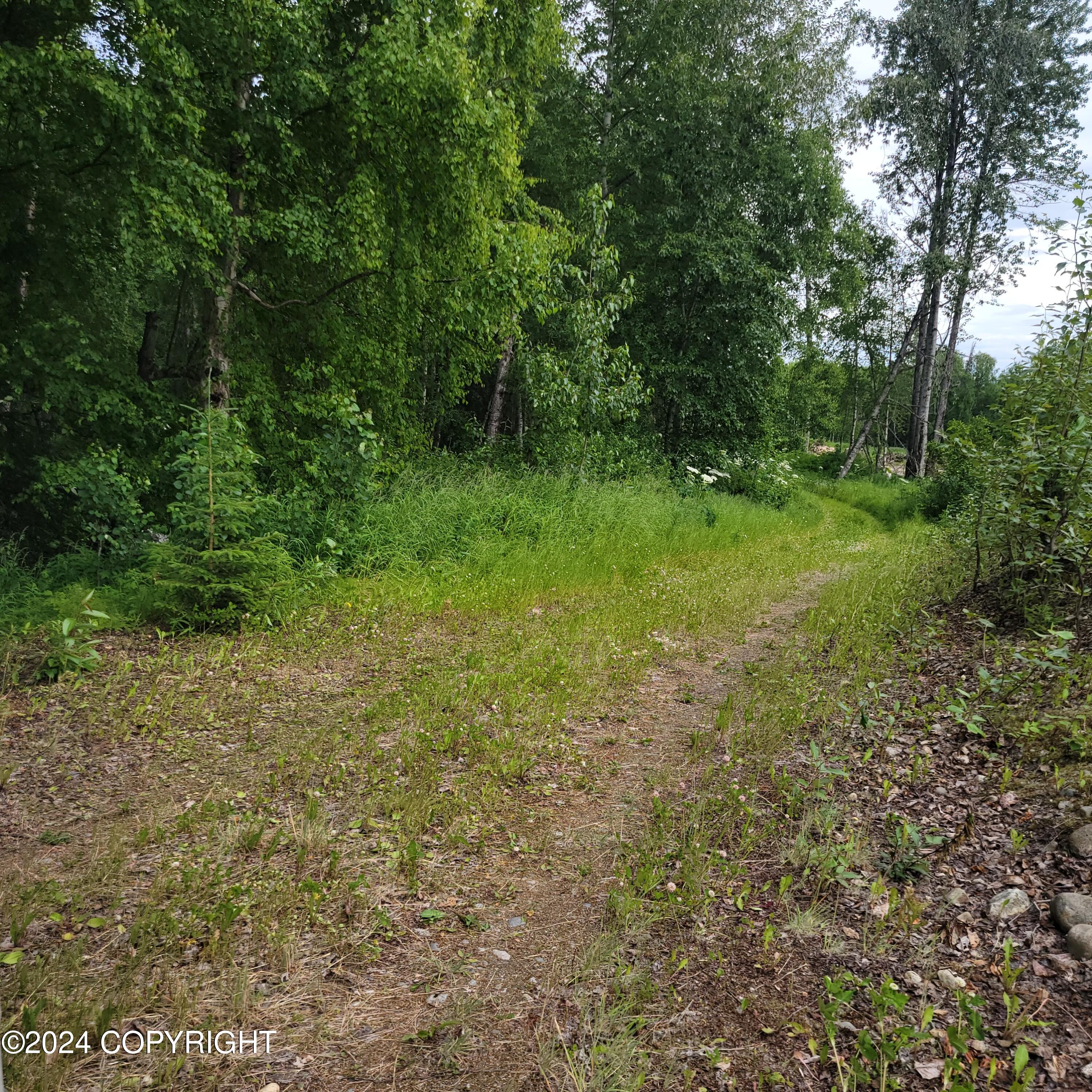 27048 W Parks Highway, Willow, Alaska image 26
