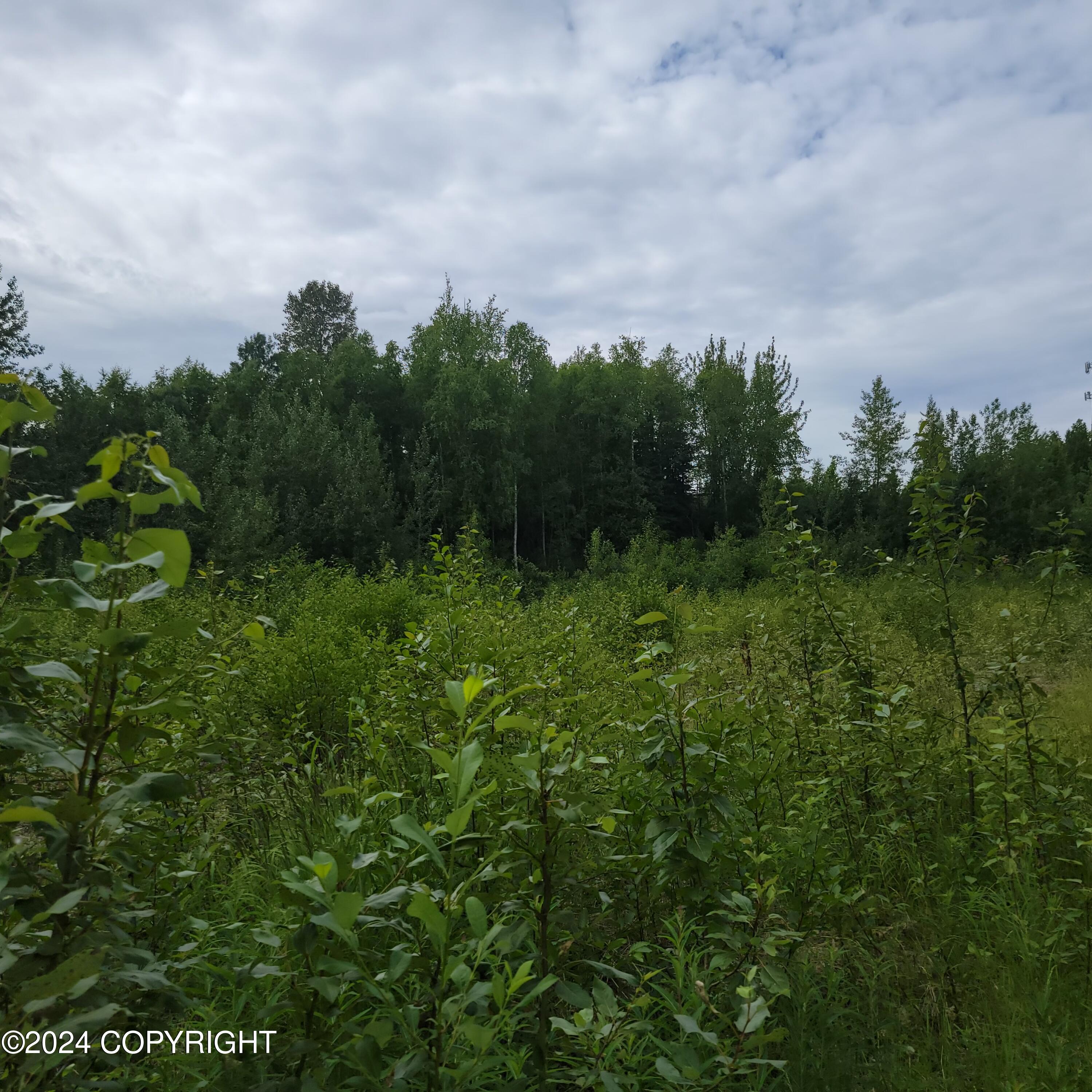 27048 W Parks Highway, Willow, Alaska image 3