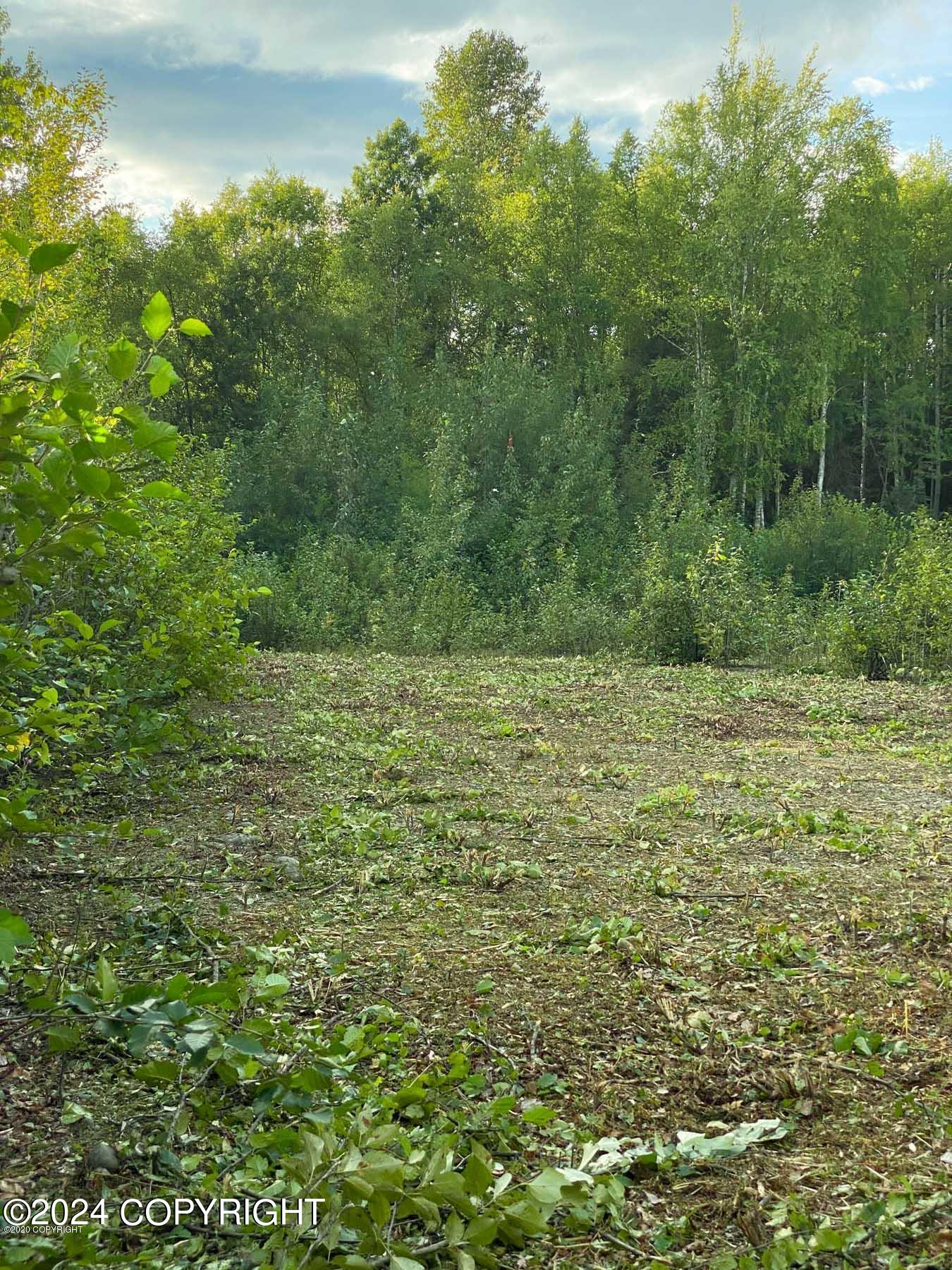 27048 W Parks Highway, Willow, Alaska image 8
