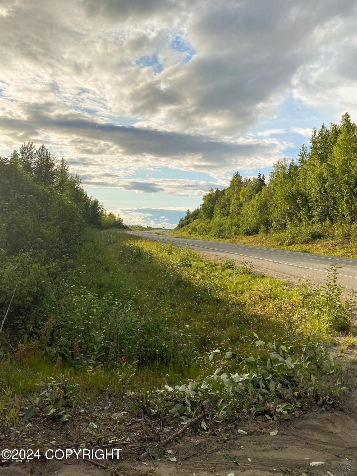 27048 W Parks Highway, Willow, Alaska image 30