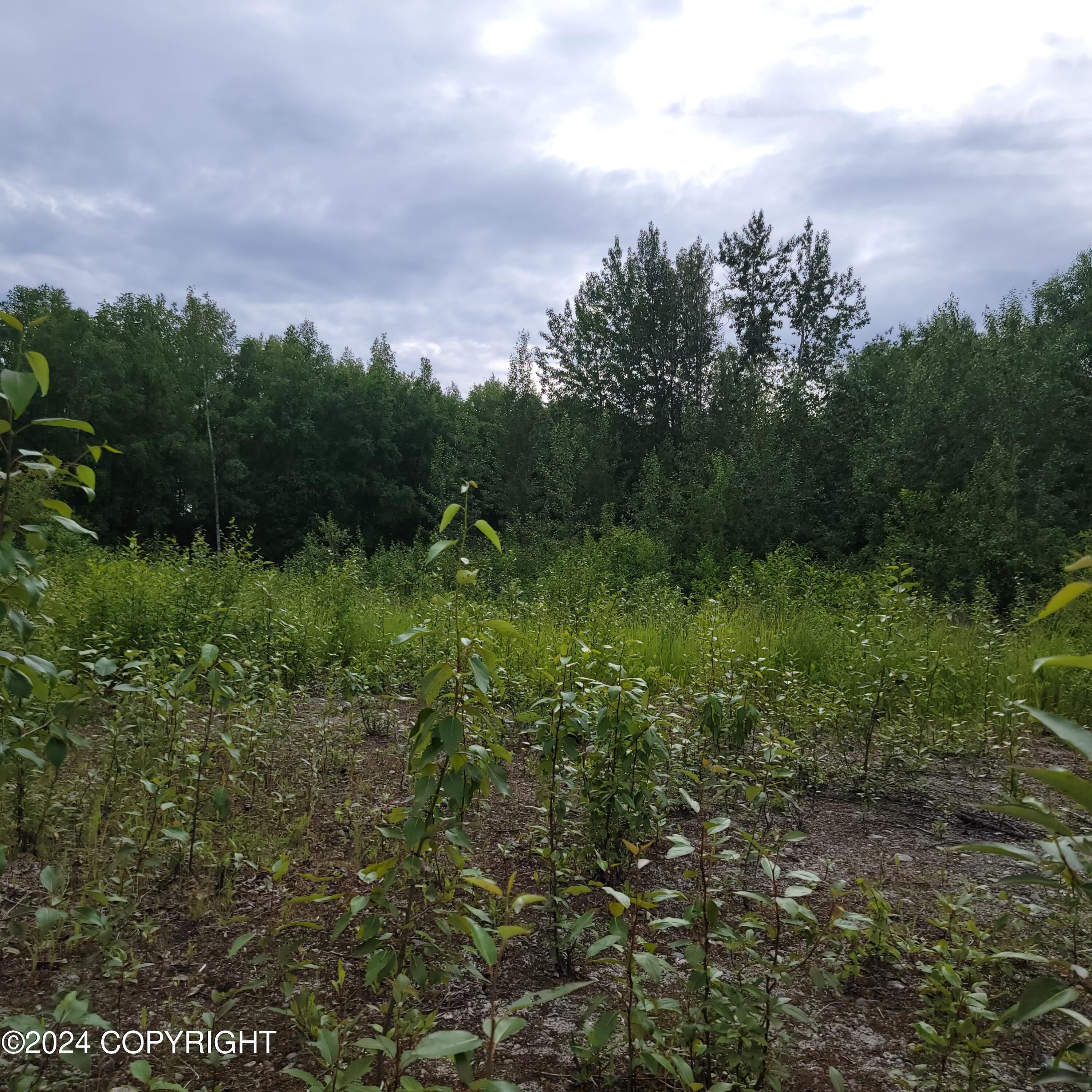 27048 W Parks Highway, Willow, Alaska image 20