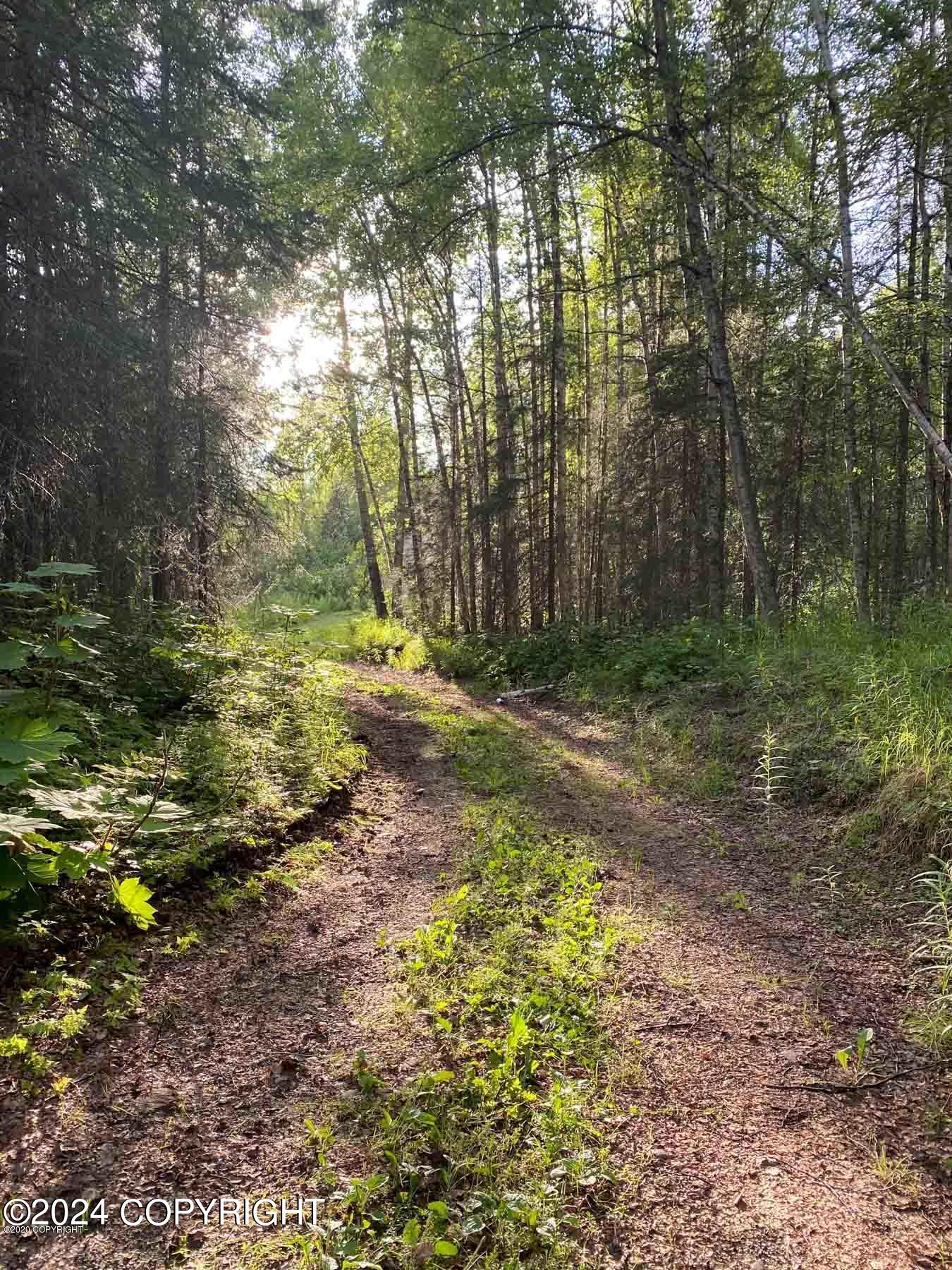 27048 W Parks Highway, Willow, Alaska image 10
