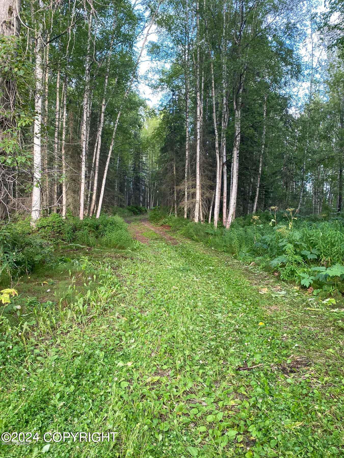 27048 W Parks Highway, Willow, Alaska image 18