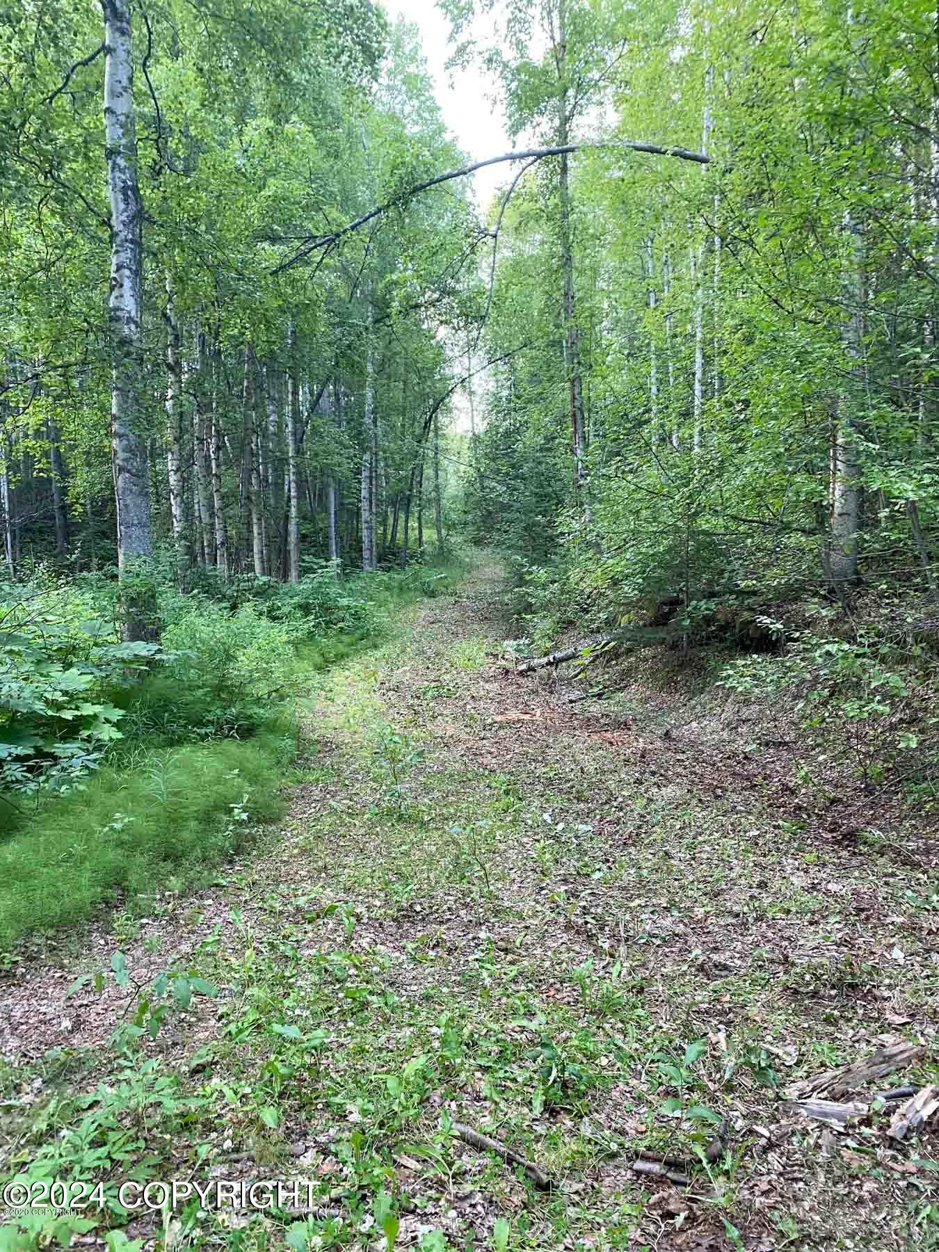 27048 W Parks Highway, Willow, Alaska image 16