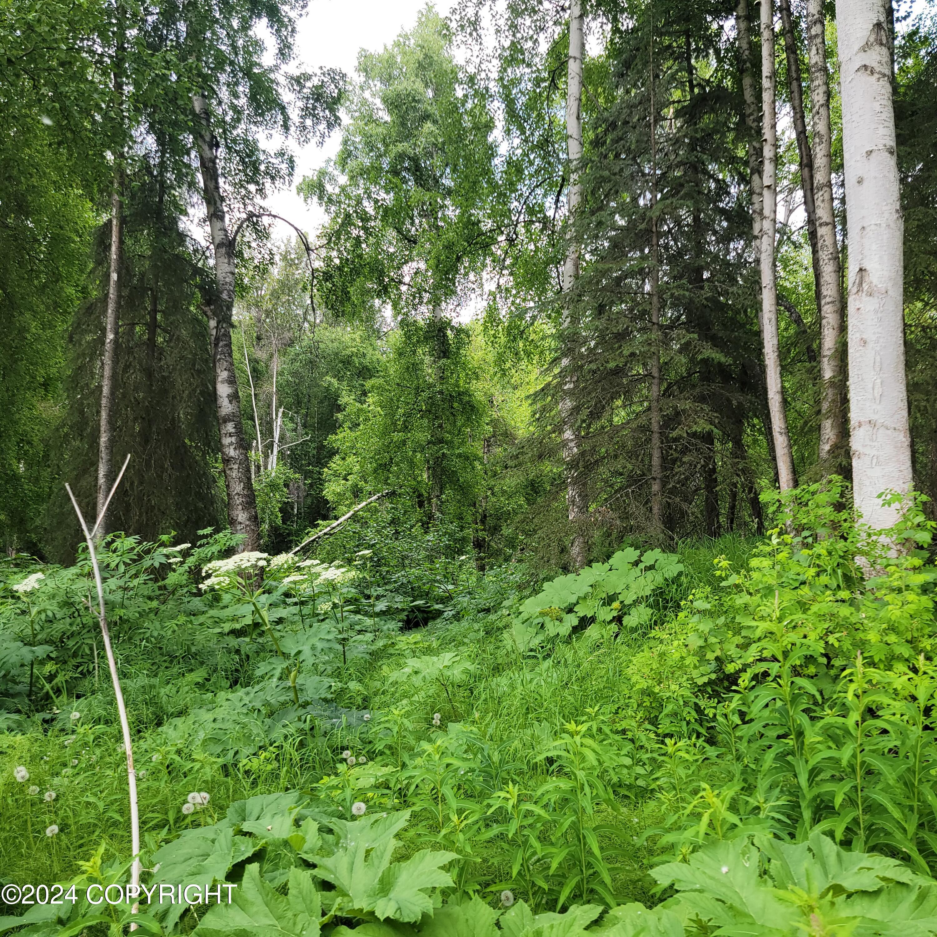 27048 W Parks Highway, Willow, Alaska image 24