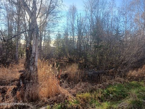 Photo of NHN- Lot 2 S Gon Fishin Drive, Wasilla, AK 99623 (MLS # 25-13520) Photo of NHN- Lot 2 S Gon Fishin Drive, Wasilla, AK 99623 (MLS # 25-13520)