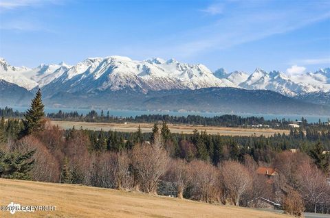 Photo of 000 Craftsman Road, Homer, AK 99603 (MLS # 26-3998)