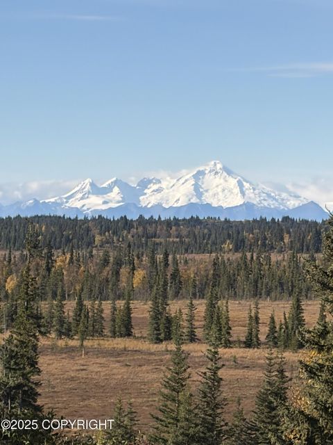 Vacant Land For Sale - TRACT 20 Zeke Street<br/> Ninilchik, AK 99639