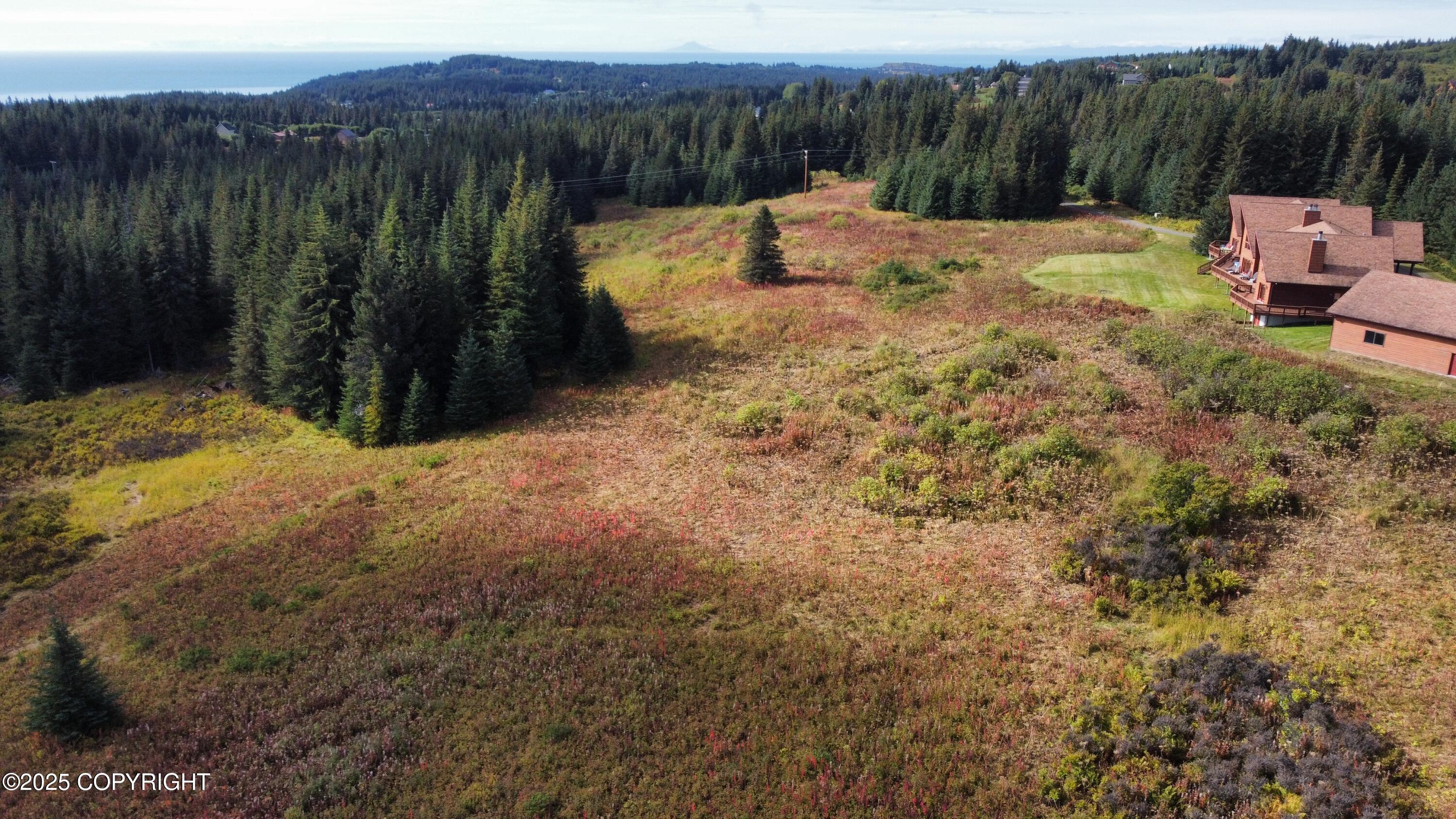 Homer, Alaska 99603, United States, ,Commercial,Active,189968