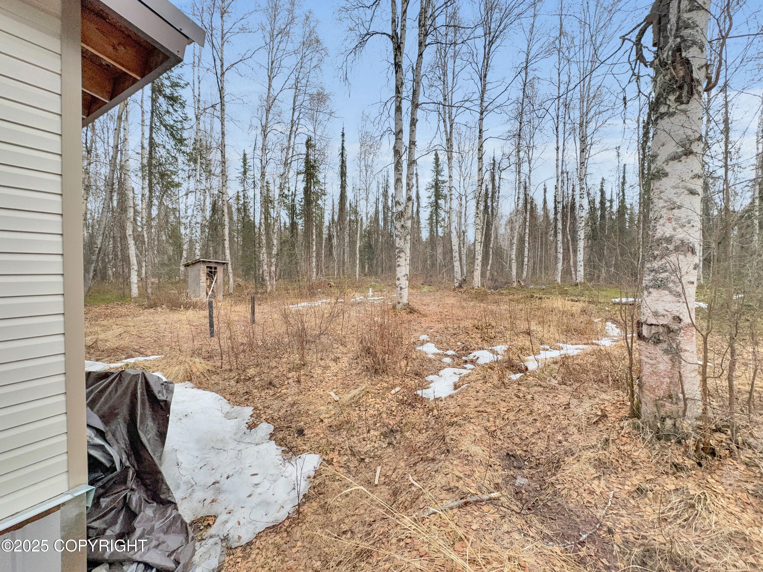 49925 Bendapole Road, Willow, Alaska image 22