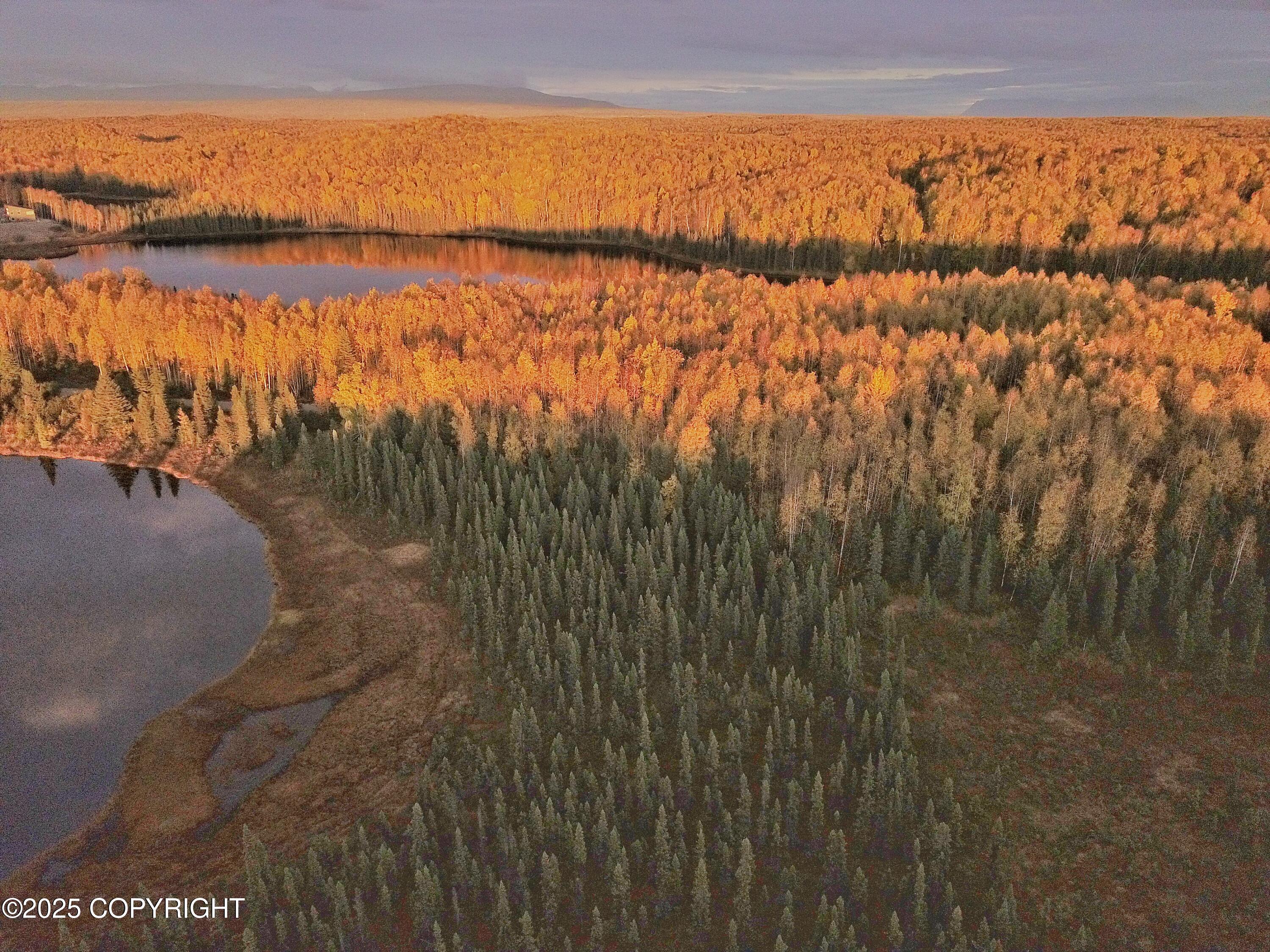 Unit 5 N Red Shirt Drive, Willow, Alaska image 17