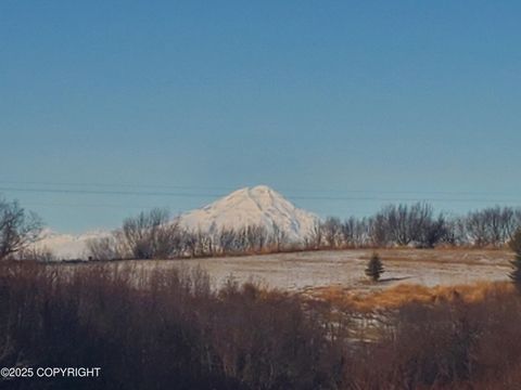 Vacant Land For Sale - 17693 Chefornak Street<br/> Ninilchik, AK 99639