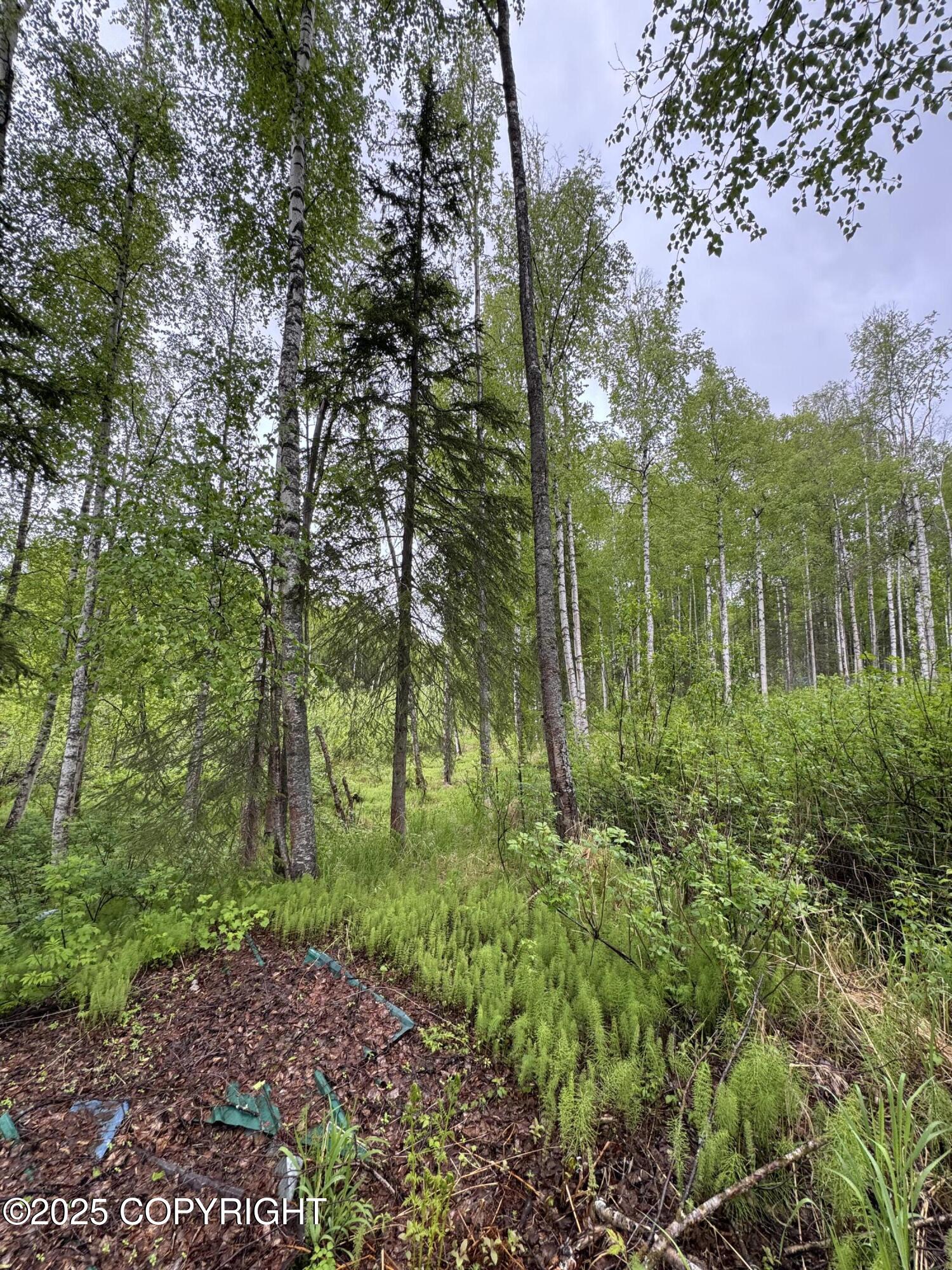 20071 E Record Avenue, Willow, Alaska image 4