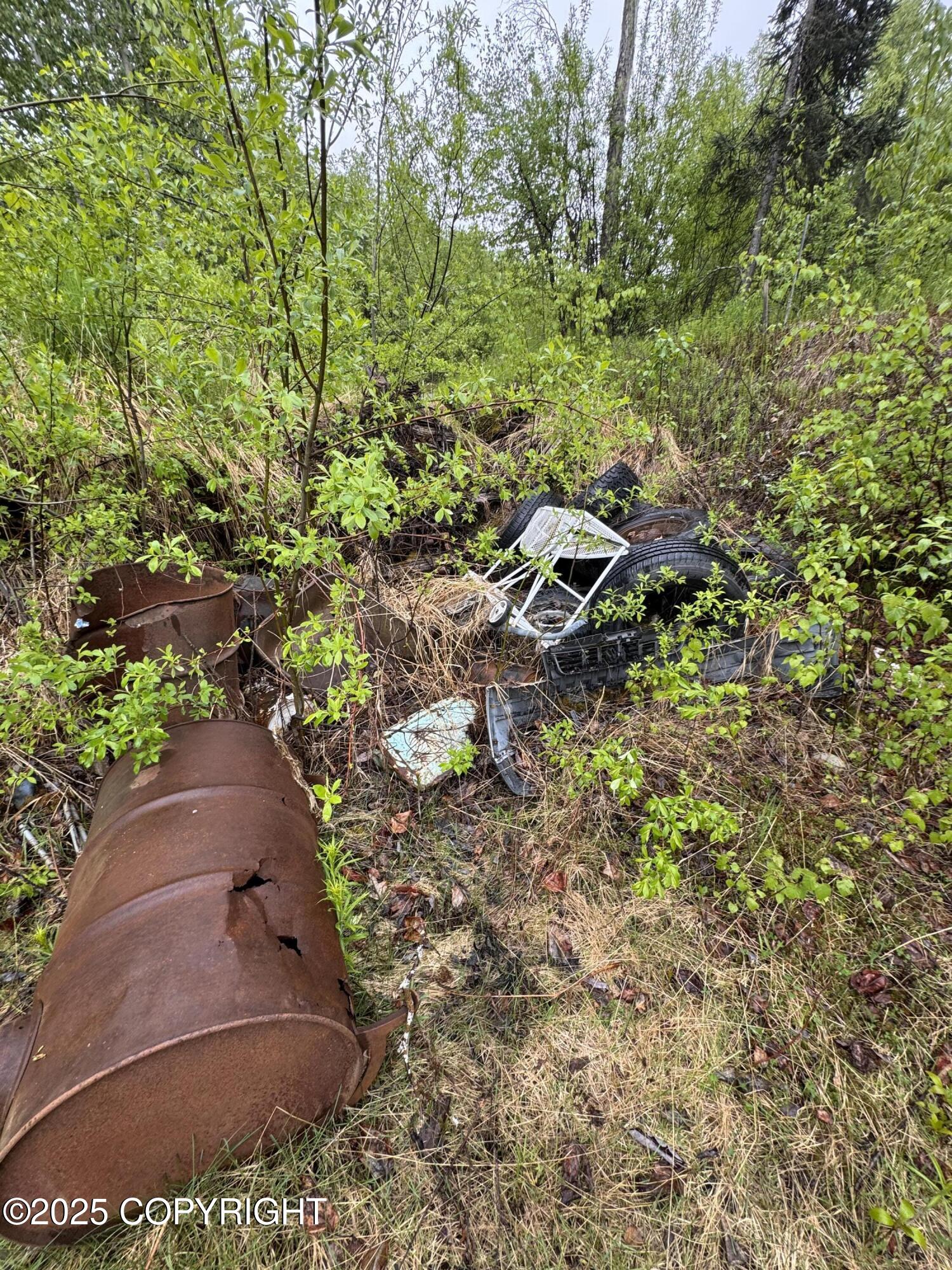 20071 E Record Avenue, Willow, Alaska image 5