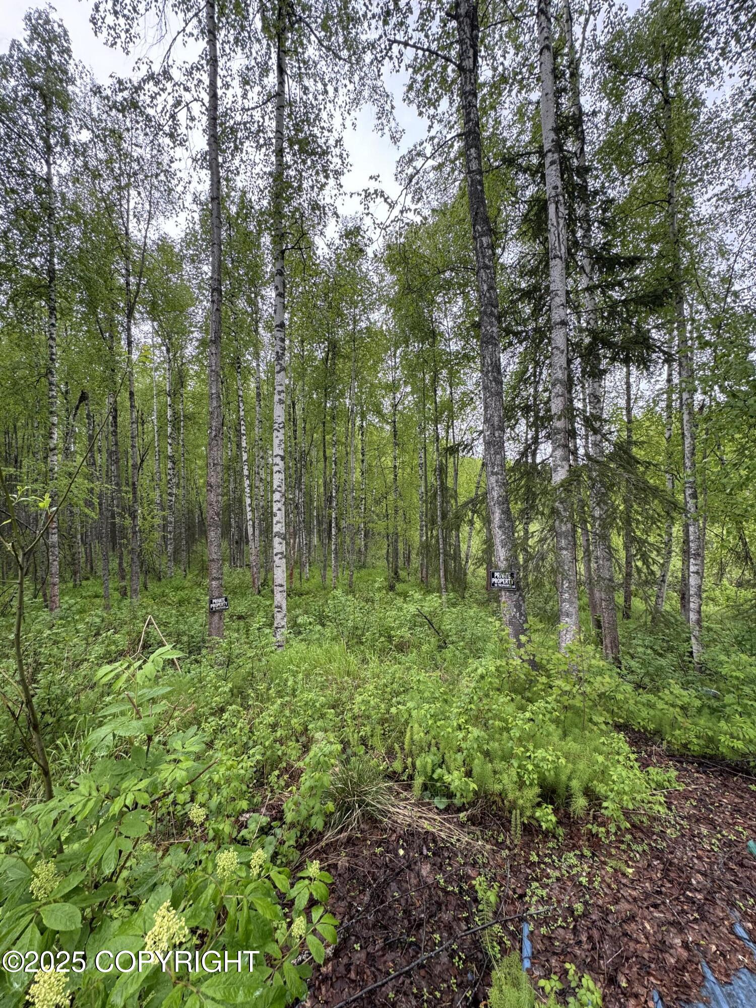 20071 E Record Avenue, Willow, Alaska image 3