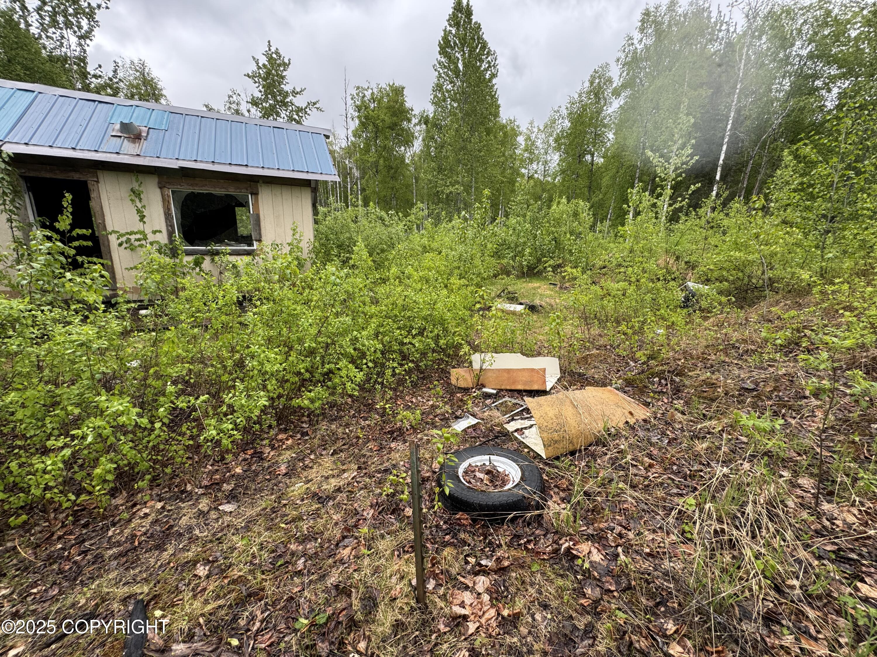 20071 E Record Avenue, Willow, Alaska image 6