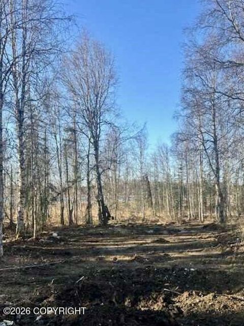 Photo of 13026 Pettis Drive, Willow, AK 99688 (MLS # 26-5127)