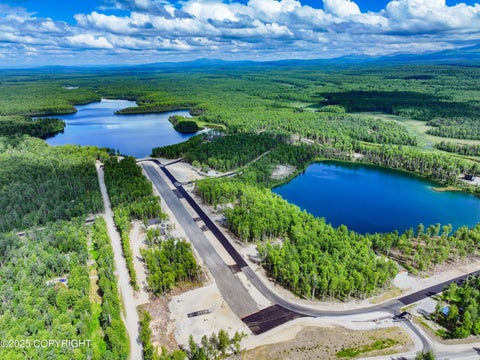 Vacant Land For Sale - 20099 E Caswell Lakes Road<br/> Willow, AK 99688