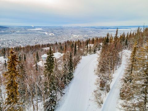 Vacant Land For Sale - 18919 Upper Skyline Drive<br/> Eagle River, AK 99577
