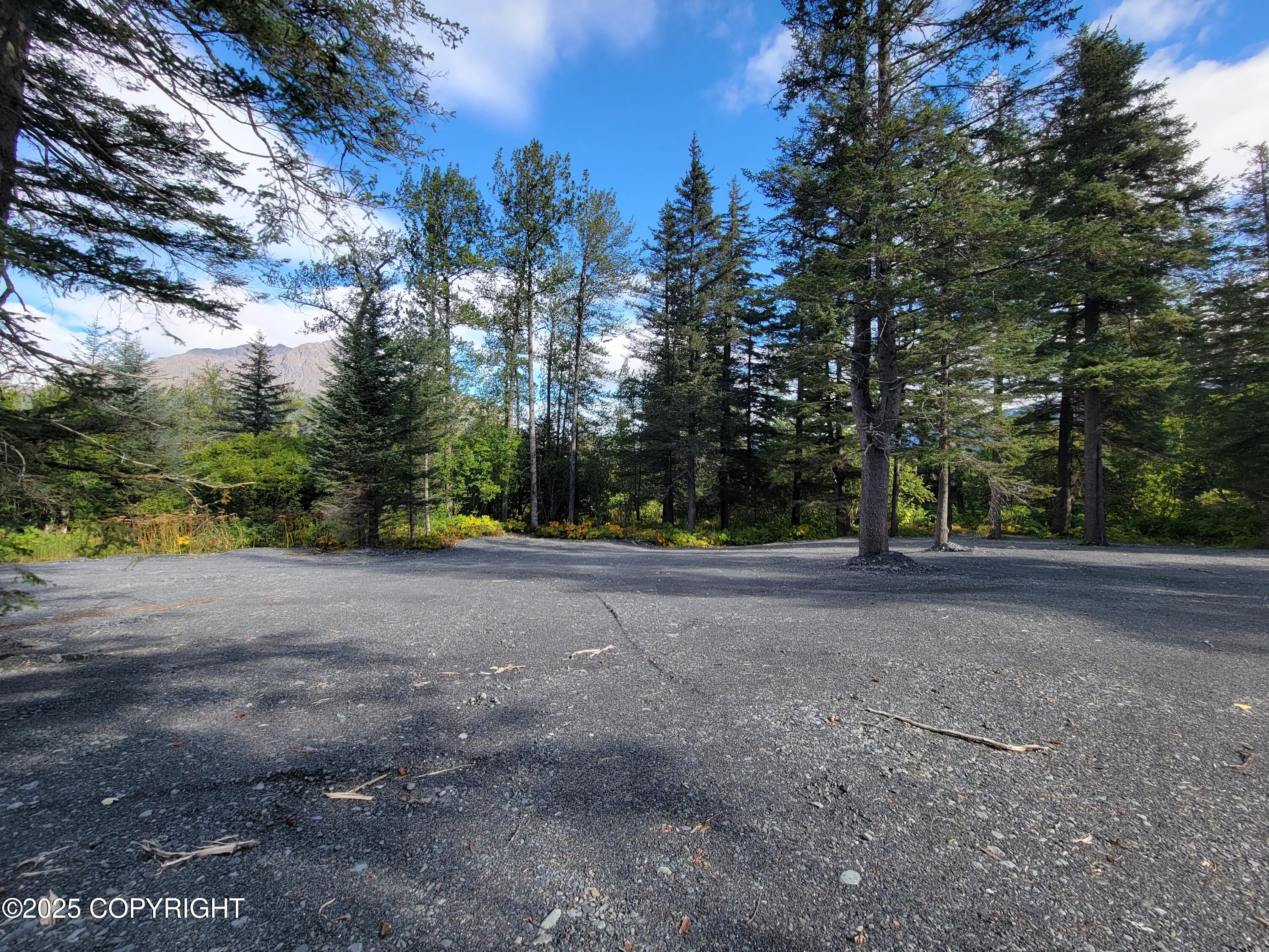 312 Cottonwood Street, Seward, Alaska image 3