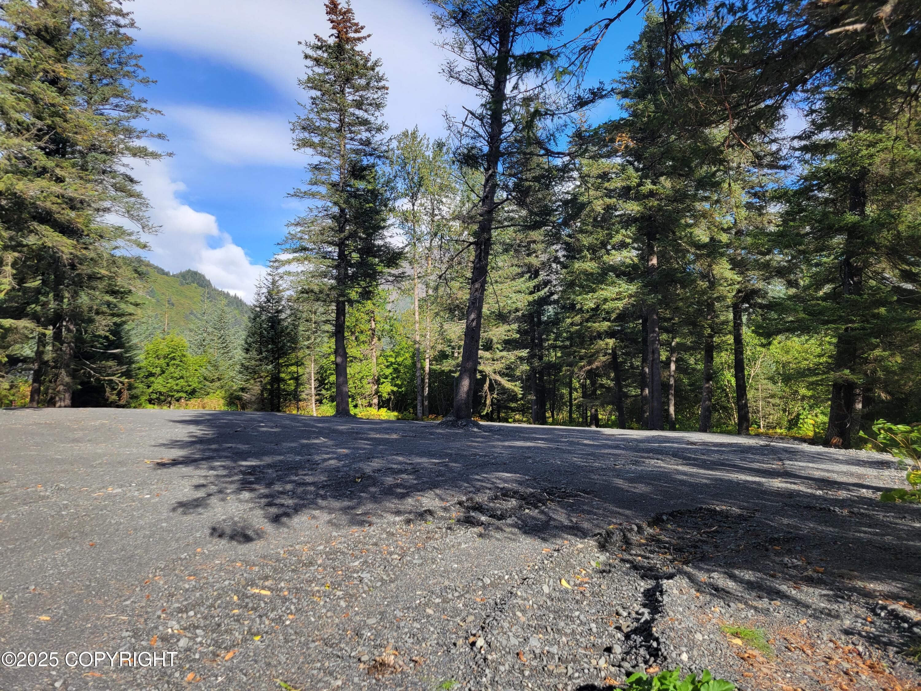 312 Cottonwood Street, Seward, Alaska image 2