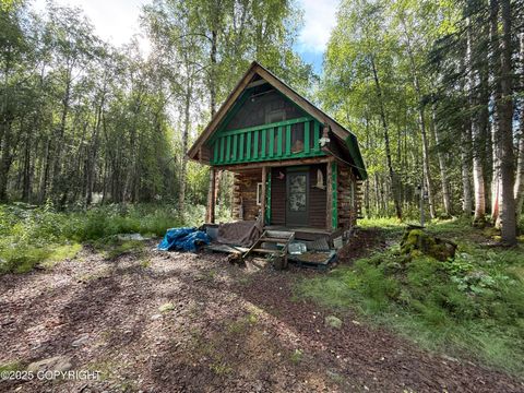 Homes For Sale - 17146 E Dowd Circle<br/> Talkeetna, AK 99676
