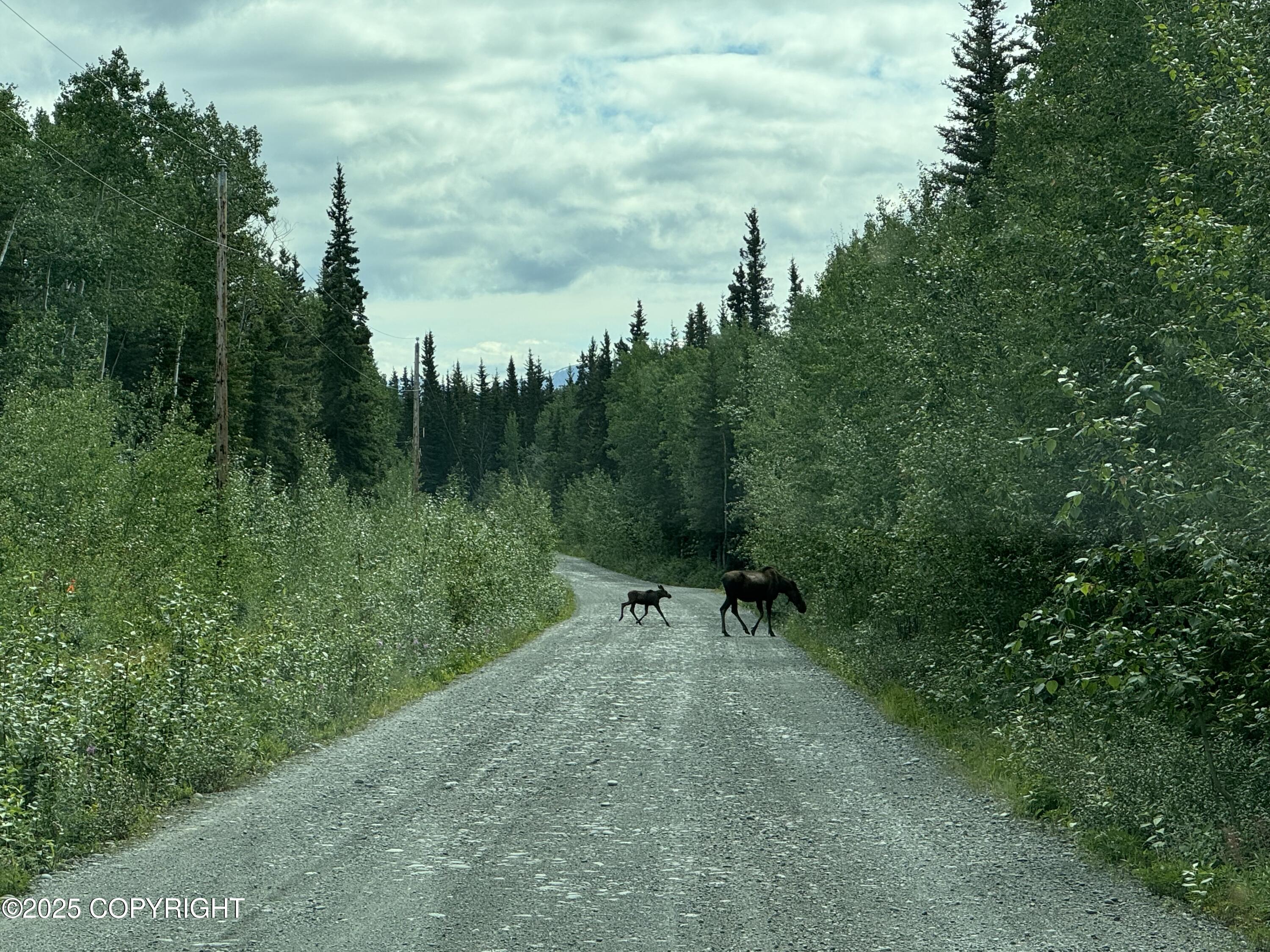 Lot 25 Wrangell Drive, Copper Center, Alaska image 1