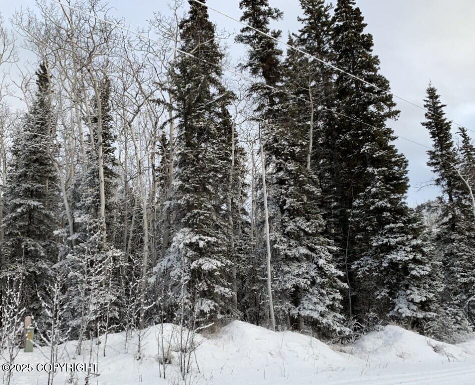 Lot 25 Wrangell Drive, Copper Center, Alaska image 2