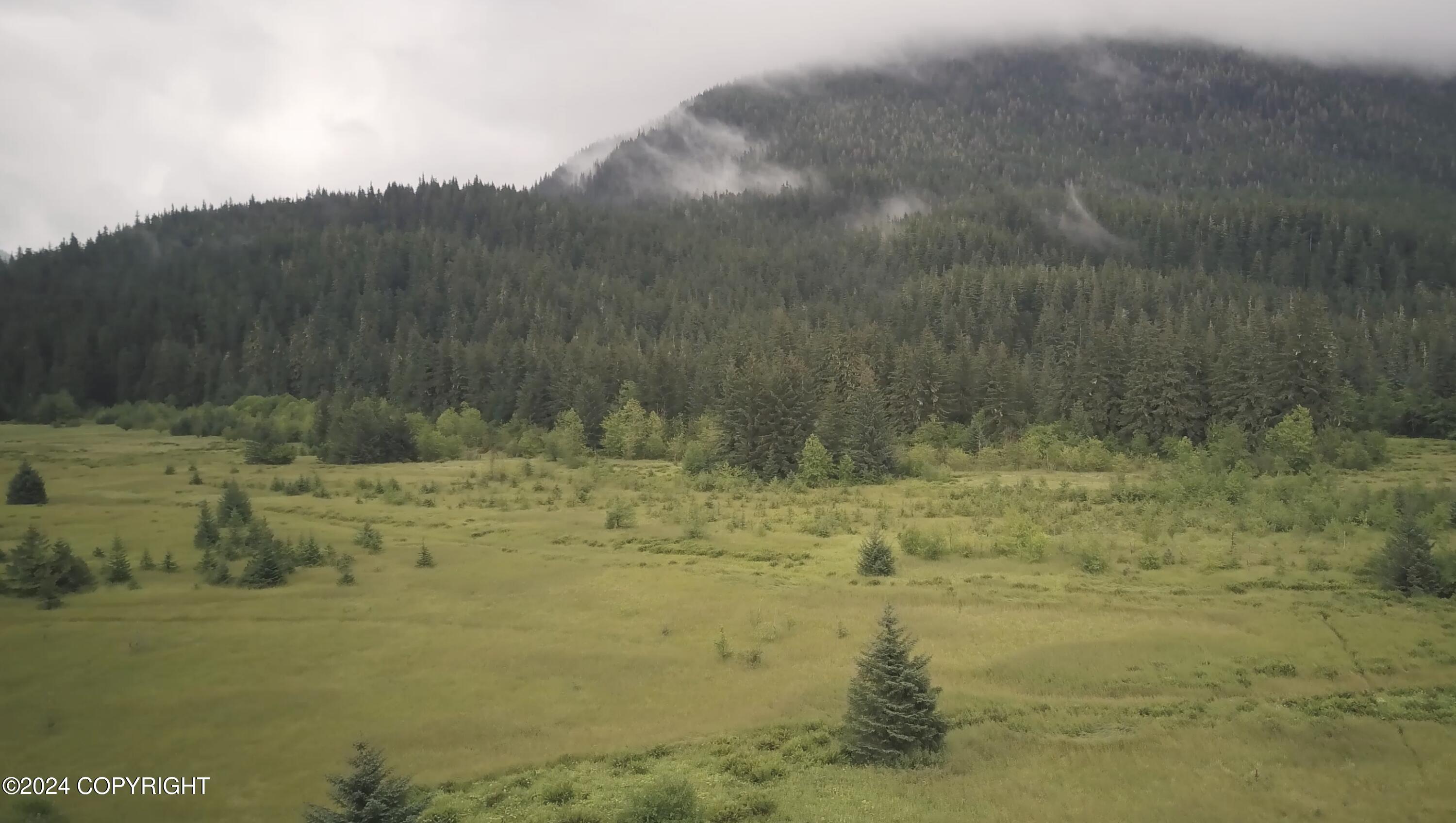 Tract A4 Knig Slough, Wrangell, Alaska image 3