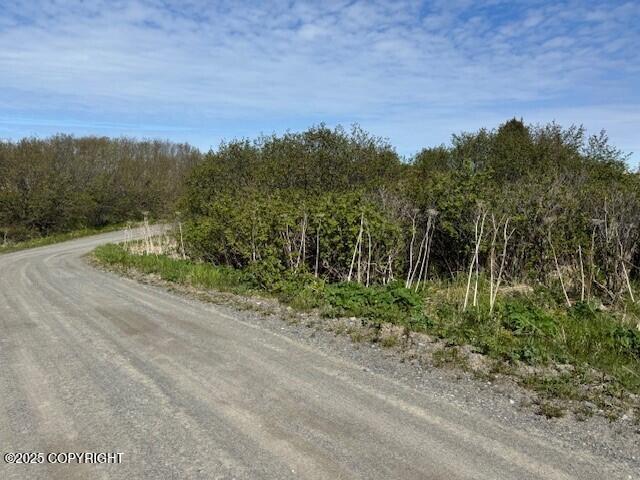 17338 Tidal Knoll Drive, Ninilchik, Alaska image 7