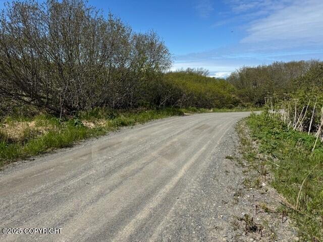 17338 Tidal Knoll Drive, Ninilchik, Alaska image 6