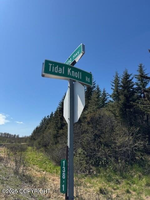 17338 Tidal Knoll Drive, Ninilchik, Alaska image 2
