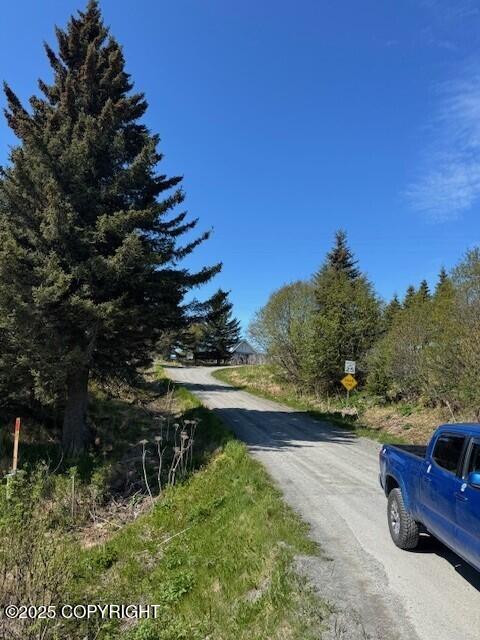 17338 Tidal Knoll Drive, Ninilchik, Alaska image 3