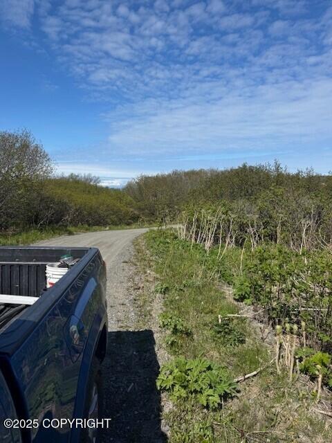 17338 Tidal Knoll Drive, Ninilchik, Alaska image 4