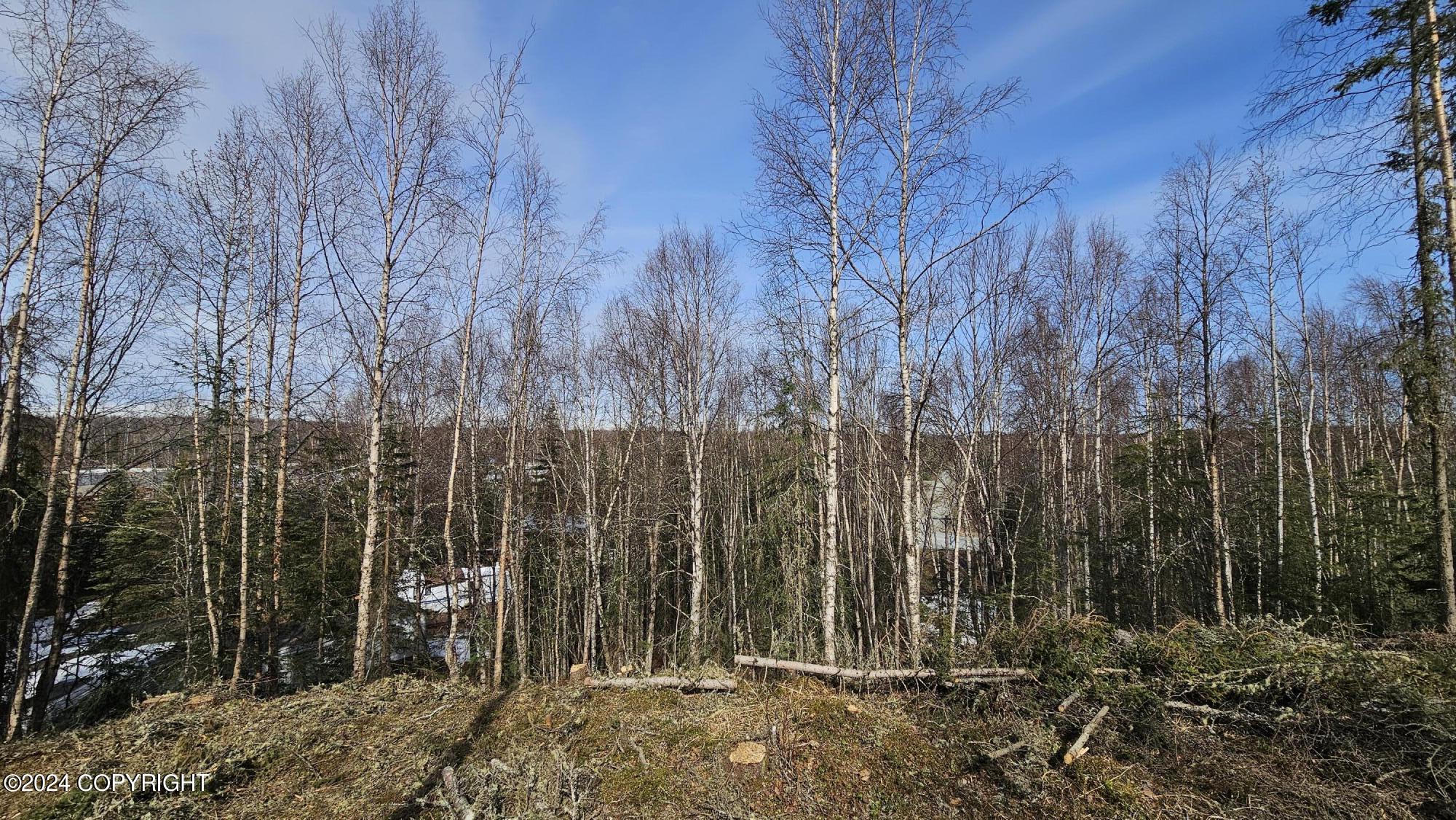 375 W Diane Lane, Soldotna, Alaska image 9