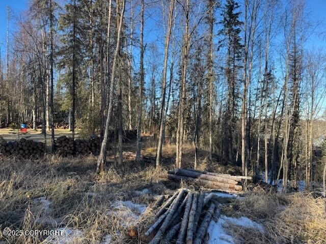 375 W Diane Lane, Soldotna, Alaska image 3