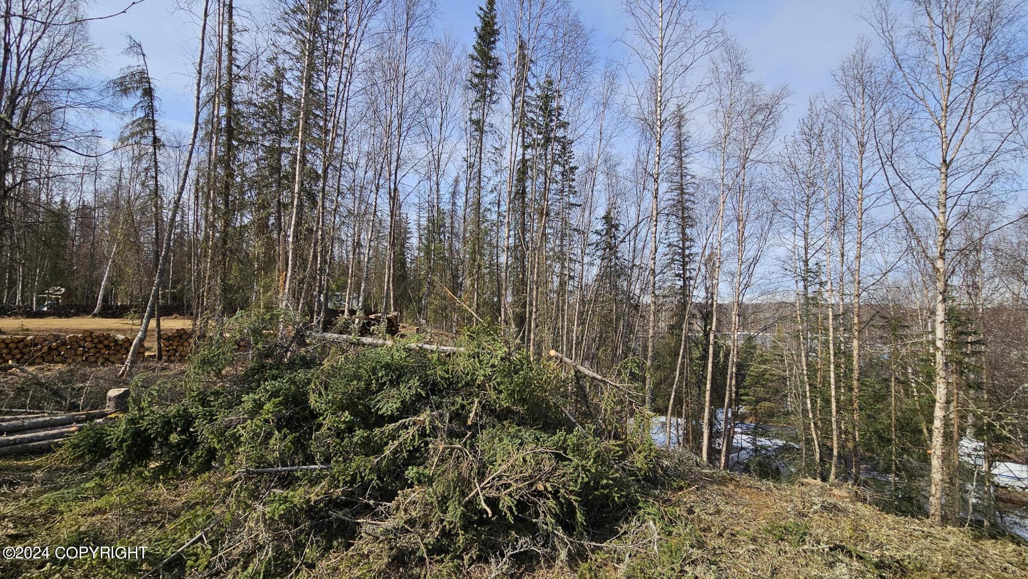 375 W Diane Lane, Soldotna, Alaska image 11