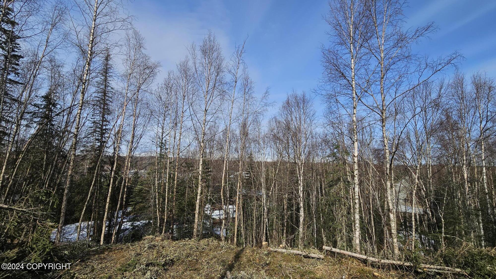 375 W Diane Lane, Soldotna, Alaska image 14