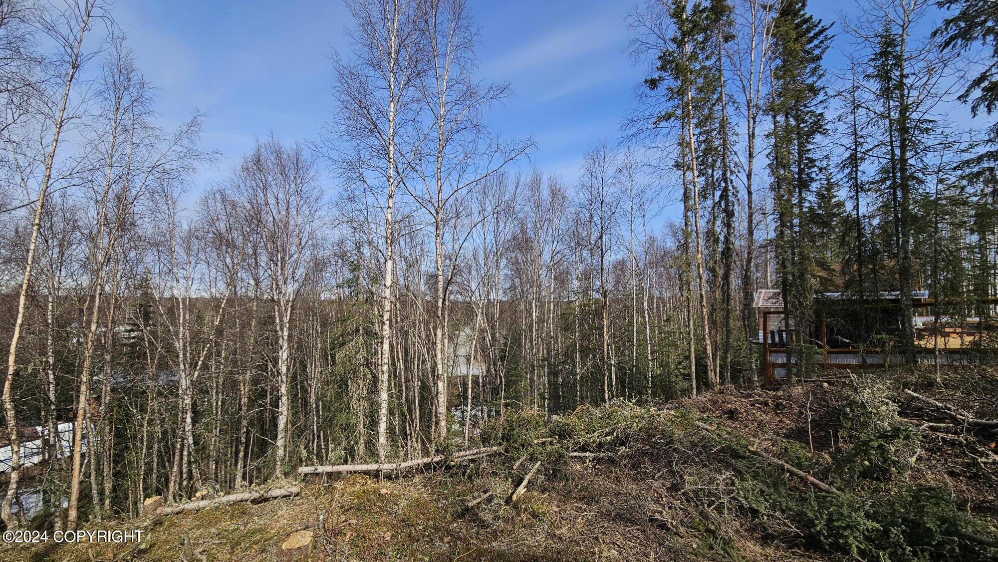 375 W Diane Lane, Soldotna, Alaska image 8