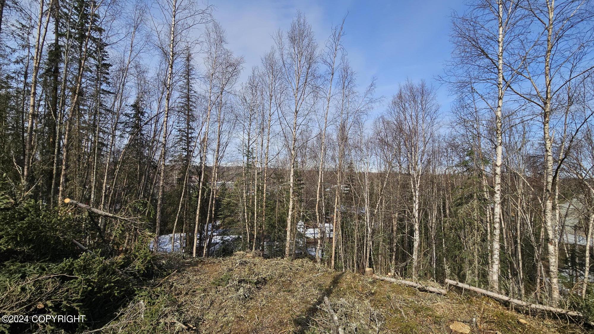 375 W Diane Lane, Soldotna, Alaska image 10
