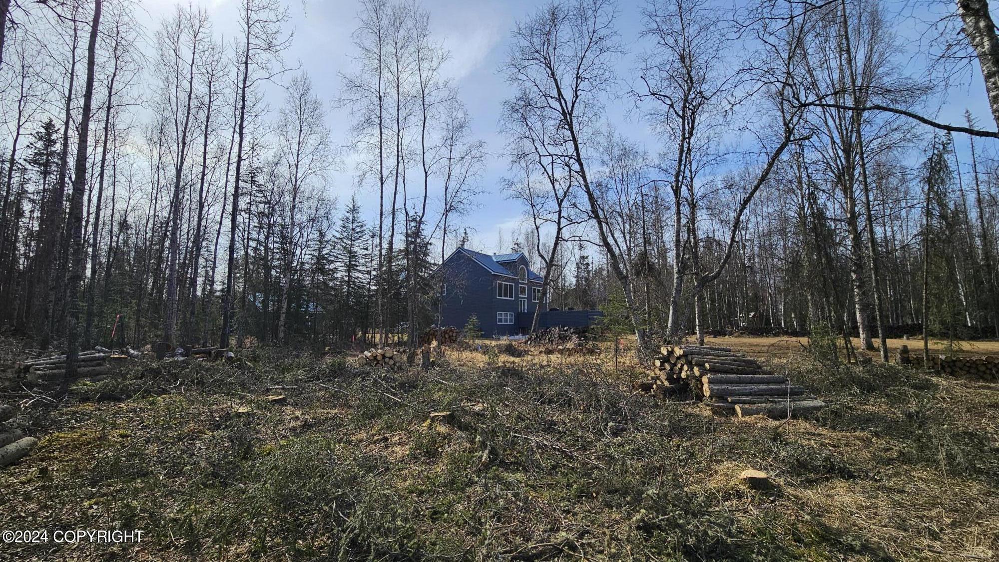 375 W Diane Lane, Soldotna, Alaska image 15