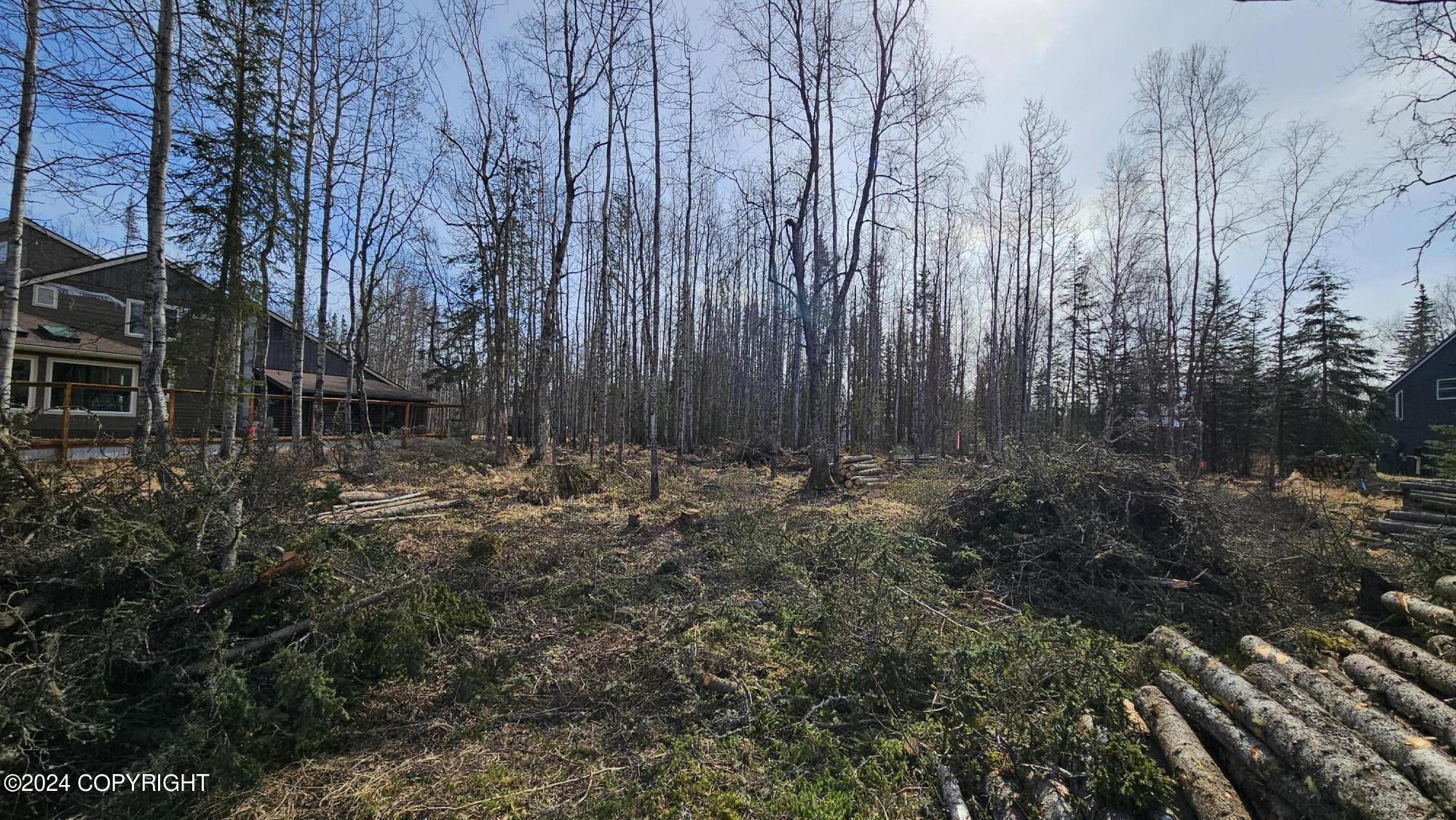 375 W Diane Lane, Soldotna, Alaska image 13