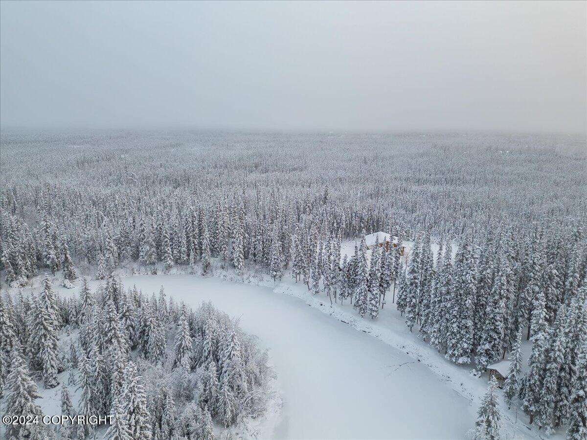 TL-215 Old Valdez Trail, Salcha, Alaska image 43