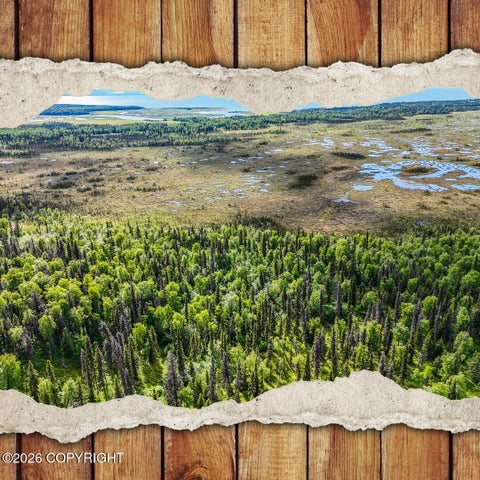 Photo of TR A B1 Kasilof Wilderness Sub, Kasilof, AK 99610 (MLS # 26-10317)
